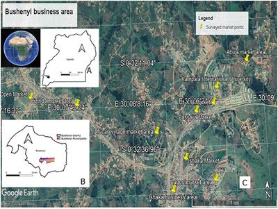 Anxiety, Anger and Depression Amongst Low-Income Earners in Southwestern Uganda During the COVID-19 Total Lockdown